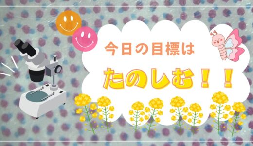 「楽しむ」だけで100点。理科の実験授業で見た、子供たちの瞳が輝く瞬間